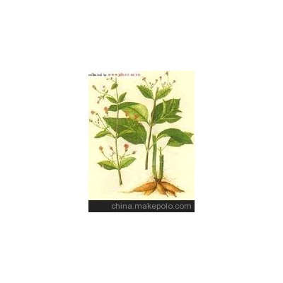 优质中药材玄参，党参，特价供应