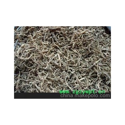 远志 厂家大量供应