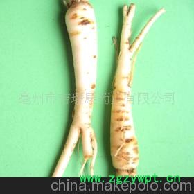 桔梗 产地大货直销 保证品质 发货快速