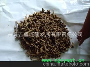 自己生产 黄芩 无杂质 真才实料