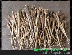 产区供应桔梗 干品鲜品 独条无枝杈