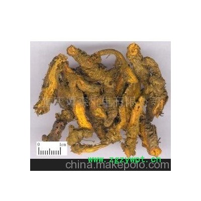 自产自销/黄水黄连(图)