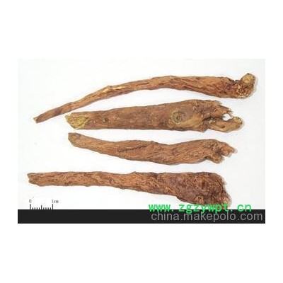 供应新森林黄芩