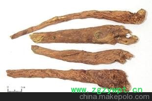 出售优质黄芩，价格面议(含图)