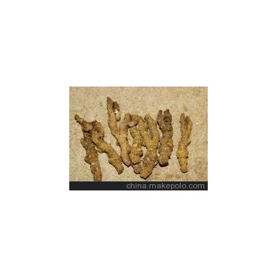 优质中药材黄连，川连、姜连，四川产