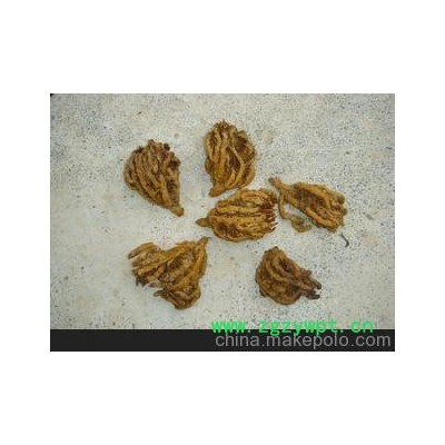 批发供应鸡爪黄连