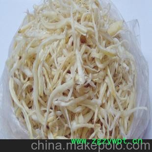 供应桔梗 厂家直销