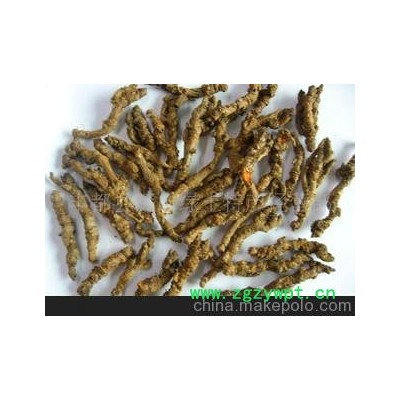 优质黄连、产至黄连之乡 量大从做优