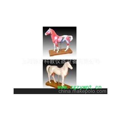 KY-18 马体针灸模型 动物针灸模型 针灸模型 动物系列模型