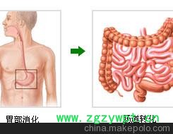 供应国内较好拔火罐减肥培训机构 减肥培训班 中医经洛火罐减肥图3