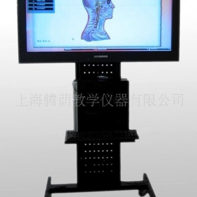 WST-42M多媒体人体针灸穴位 交互数字平台