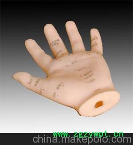 供应手针灸模型13CM，针灸模型