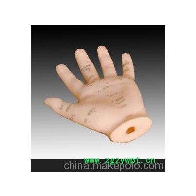 供应手针灸模型13CM，针灸模型