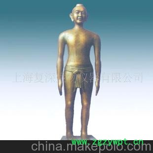 供应166公分男性古铜色人体针灸模型