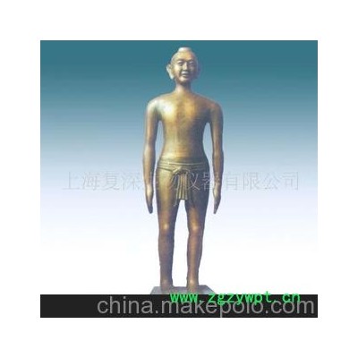 供应166公分男性古铜色人体针灸模型