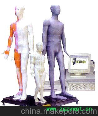 光电感应键控人体针灸穴位发光模型