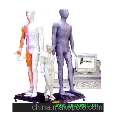 光电感应键控人体针灸穴位发光模型