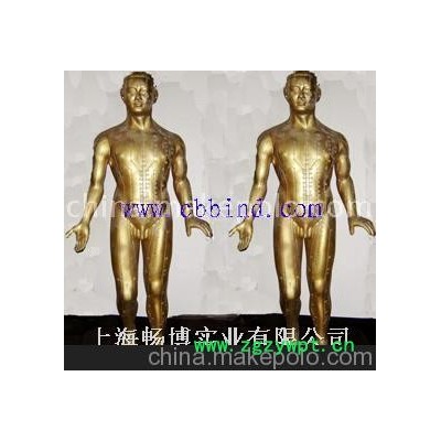 供应针灸铜人 针灸模型