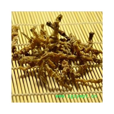 虫草参 统 产地 云南省   代加工超细粉 双鹏药材行