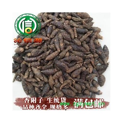 【满包邮】生香附子个子统货散装广西产地直供广香附子沁信源中药批发