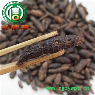 【满包邮】生香附子个子统货散装广西产地直供广香附子沁信源中药批发图2