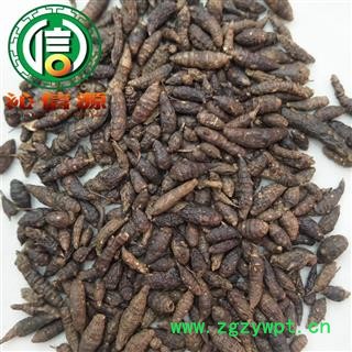 【满包邮】生香附子个子统货散装广西产地直供广香附子沁信源中药批发图4