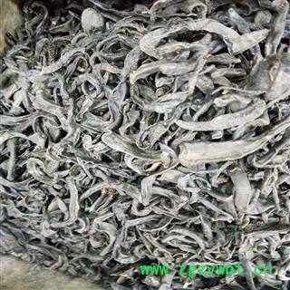 水蛭 清水中选个 产地 江苏省图2