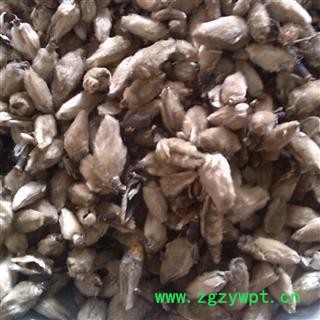 【录建药业】辛夷花 辛夷花 产地 河南省图4