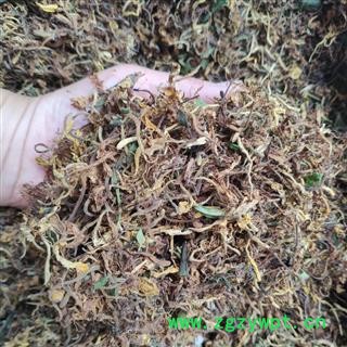 广西壮乡中草药 野生 生晒 无硫 无杆 金银花 花香浓郁 产地 广西柳州融水苗族自治县图3