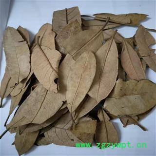 冰源堂药业 杜鹃花 杜鹃叶 统货 产地 云南省