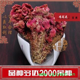 鸡冠花 鸡冠花 产地 四川省 凤尾鸡冠 大鸡公花 红鸡冠图2