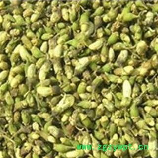 槐米 统 产地 山东省图3