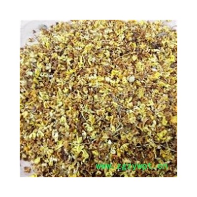 桂花 统 产地 安徽省