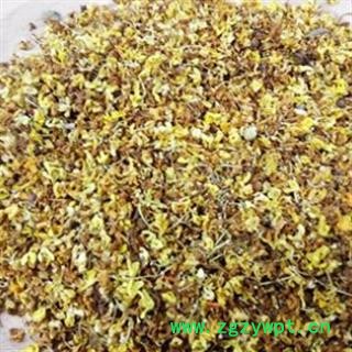 桂花 统 产地 安徽省图3