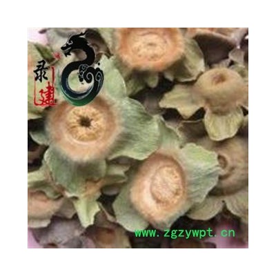 【录建药业】柿蒂 柿蒂 产地 河北省