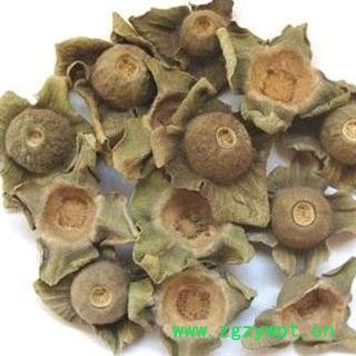 【录建药业】柿蒂 柿蒂 产地 河北省图2