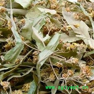 椴树花  菩提树花 统货 产地 云南省图2