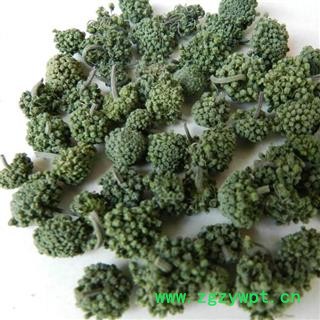 特级云南文山三七花