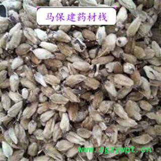 辛夷花 辛夷好 统货 产地 河南省图2