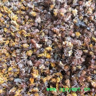 纯野生无硫野菊花、野黄菊花、山菊花、烘干货图3