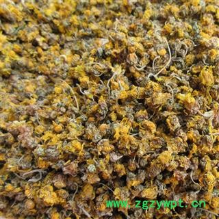 纯野生无硫野菊花、野黄菊花、山菊花、烘干货图4