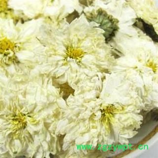 黄山贡菊 1000克图2