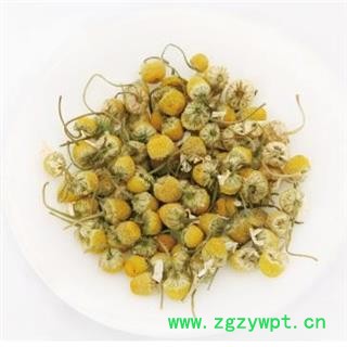 洋甘菊 1000克  小颗粒图2