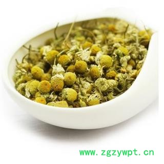 洋甘菊 1000克  小颗粒