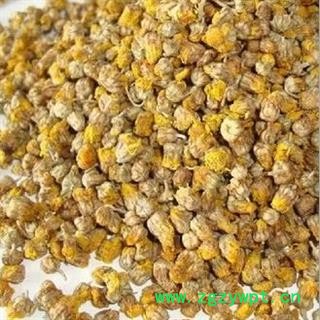 野菊花 1000克图3