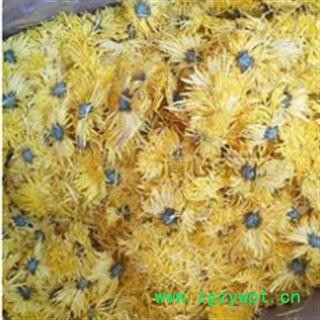 菊花 金丝黄菊 产地 安徽省淮北市图3