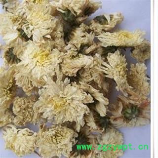 贡菊花 七月菊 产地 安徽省黄山市图2