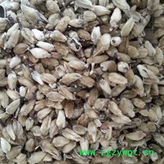 辛夷 辛夷大桃统货 产地 河南省图2