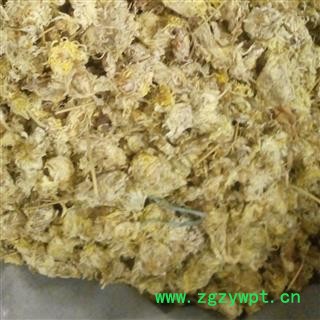 【录建药业】新货菊花1000克 干净无杂质  假一赔十 规格齐全 批发零售抓方打粉图3