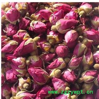 玫瑰花 统 产地 山东省济南市平阴县图2